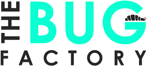 The Bug Factory